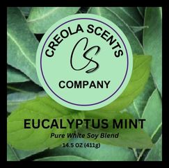 Eucalyptus Mint Scented Candle – A Breath of Fresh Air!